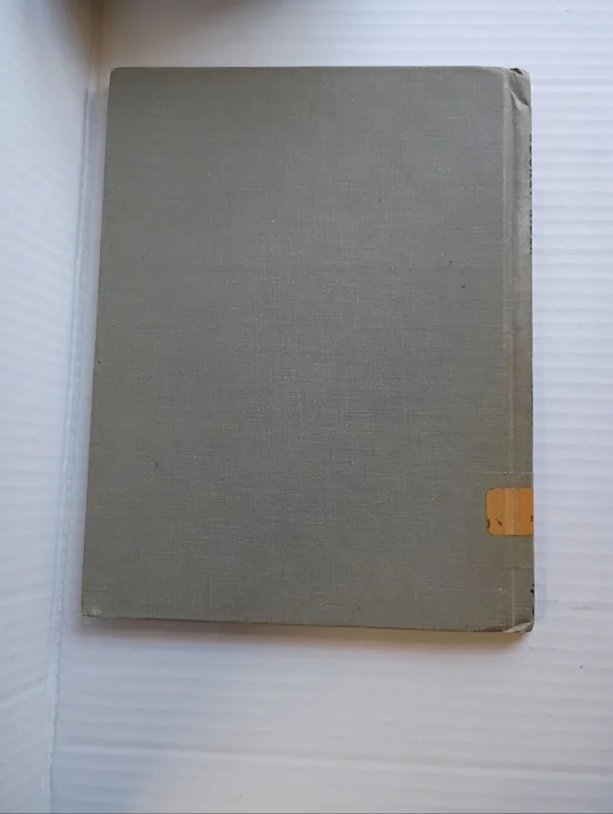 Vintage children's book: Rocket Rider, by Evelyn MacLaren (1954) Hard Cover Book - Picture 2 of 15